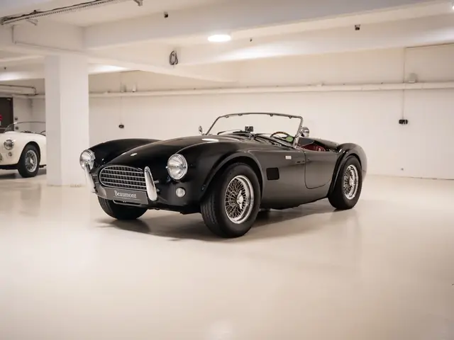 Shelby COBRA