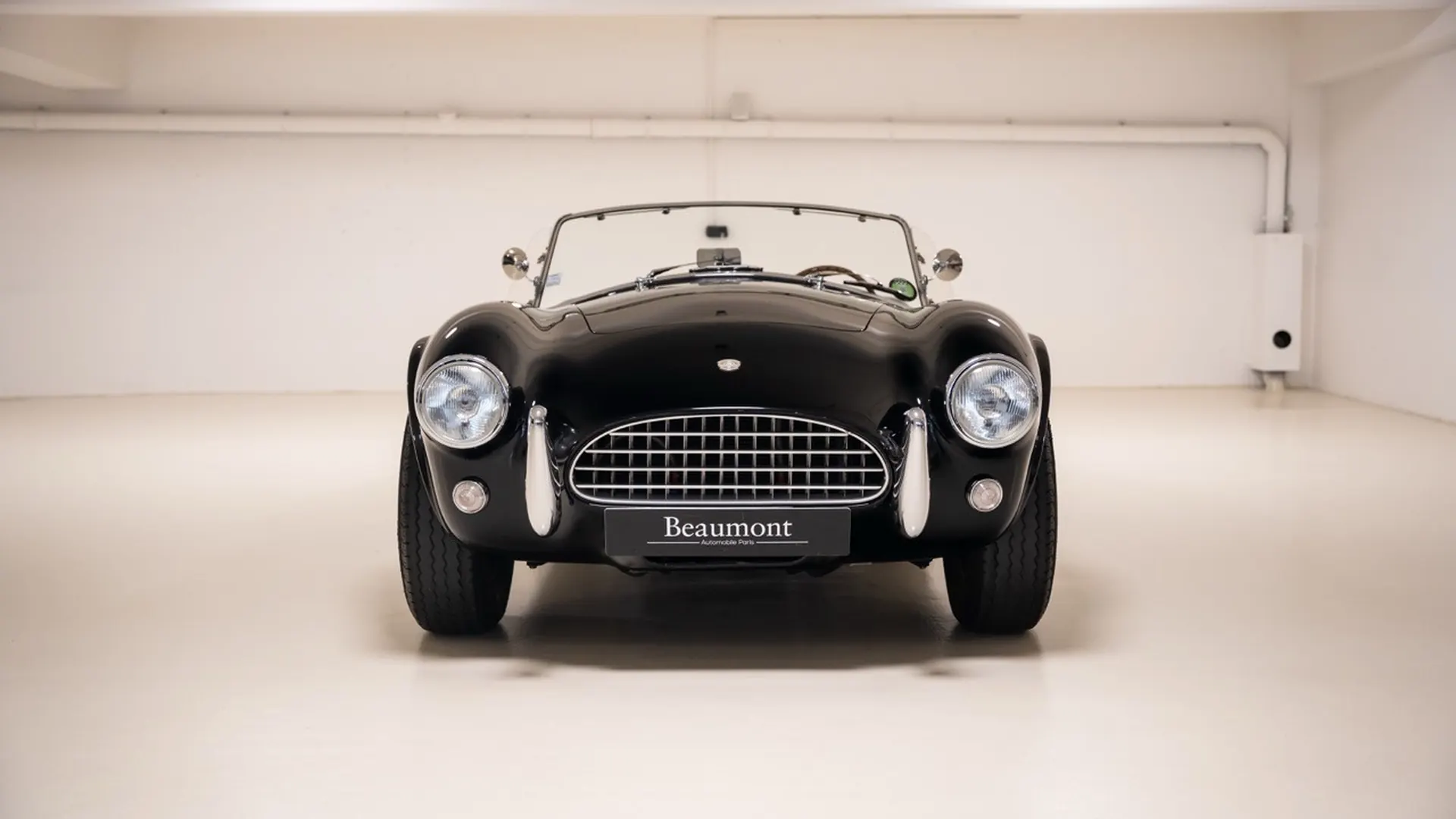 Shelby COBRA — photo 2
