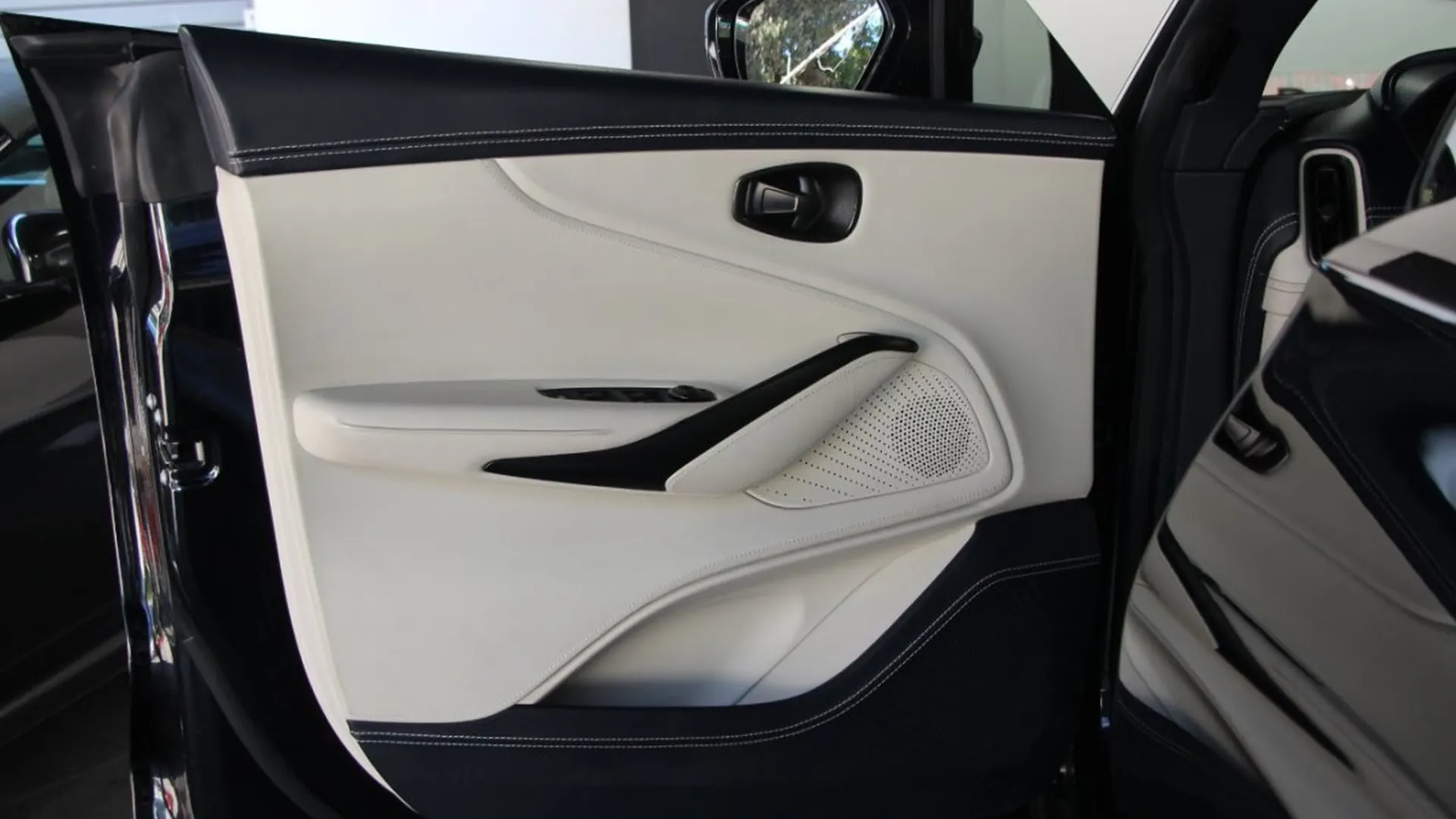 Aston Martin DBX — photo 16