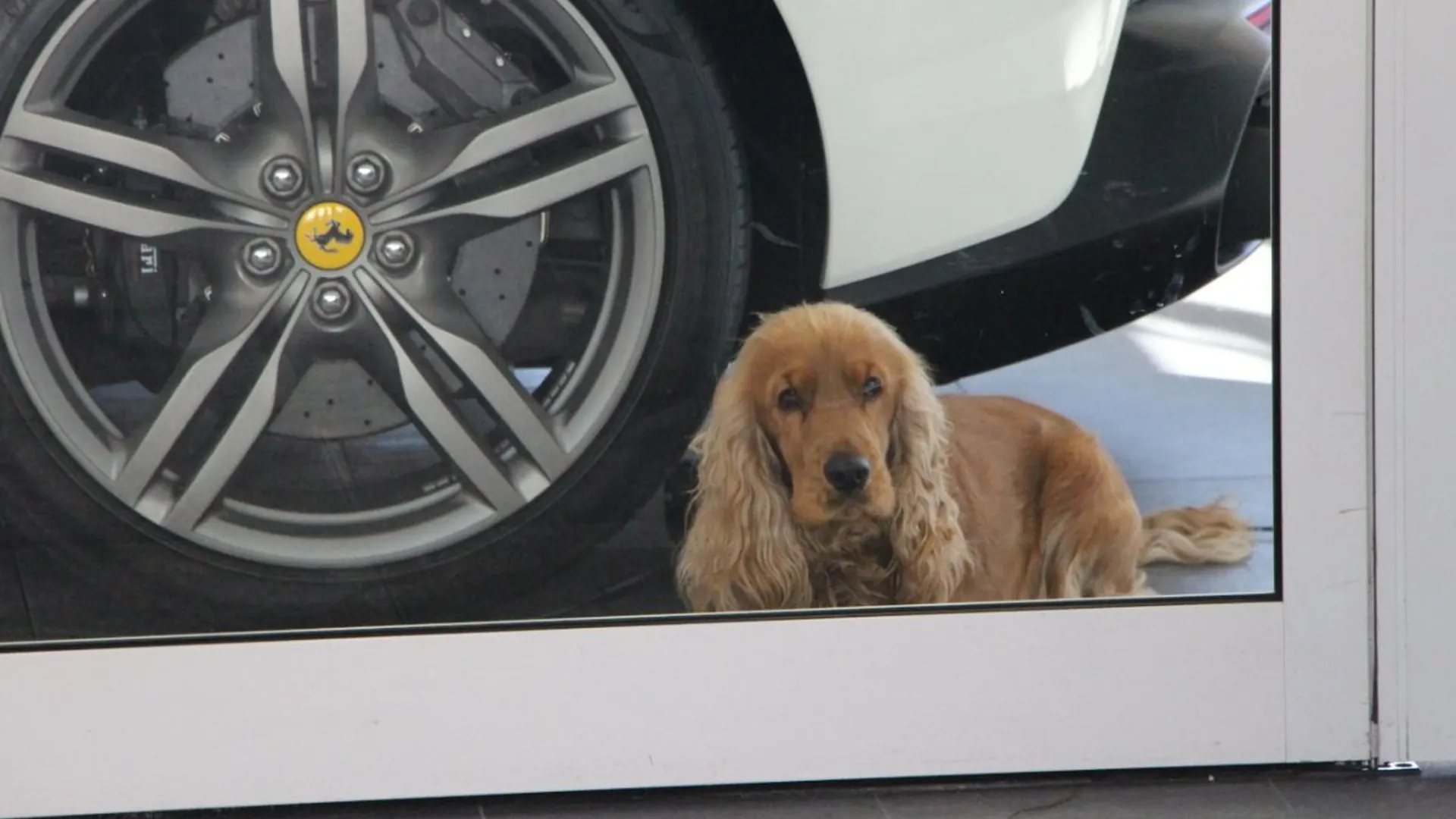Mercedes 190 — photo 25