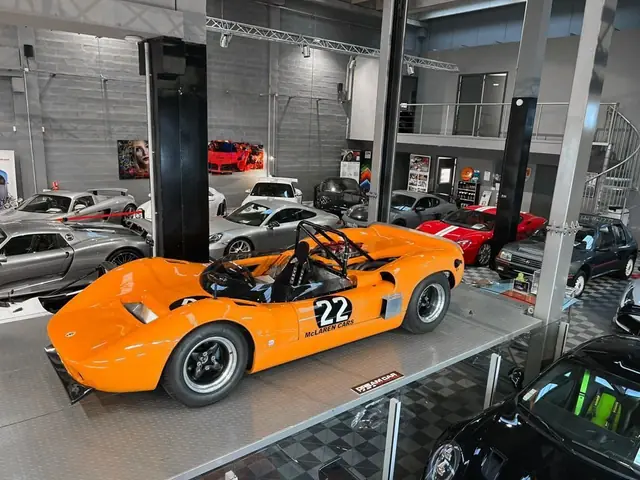 McLaren Elva