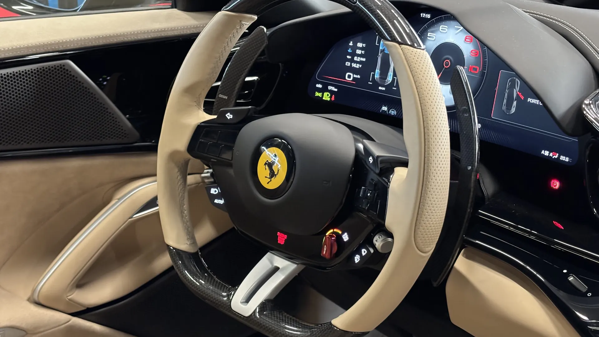 Ferrari PUROSANGUE — photo 26