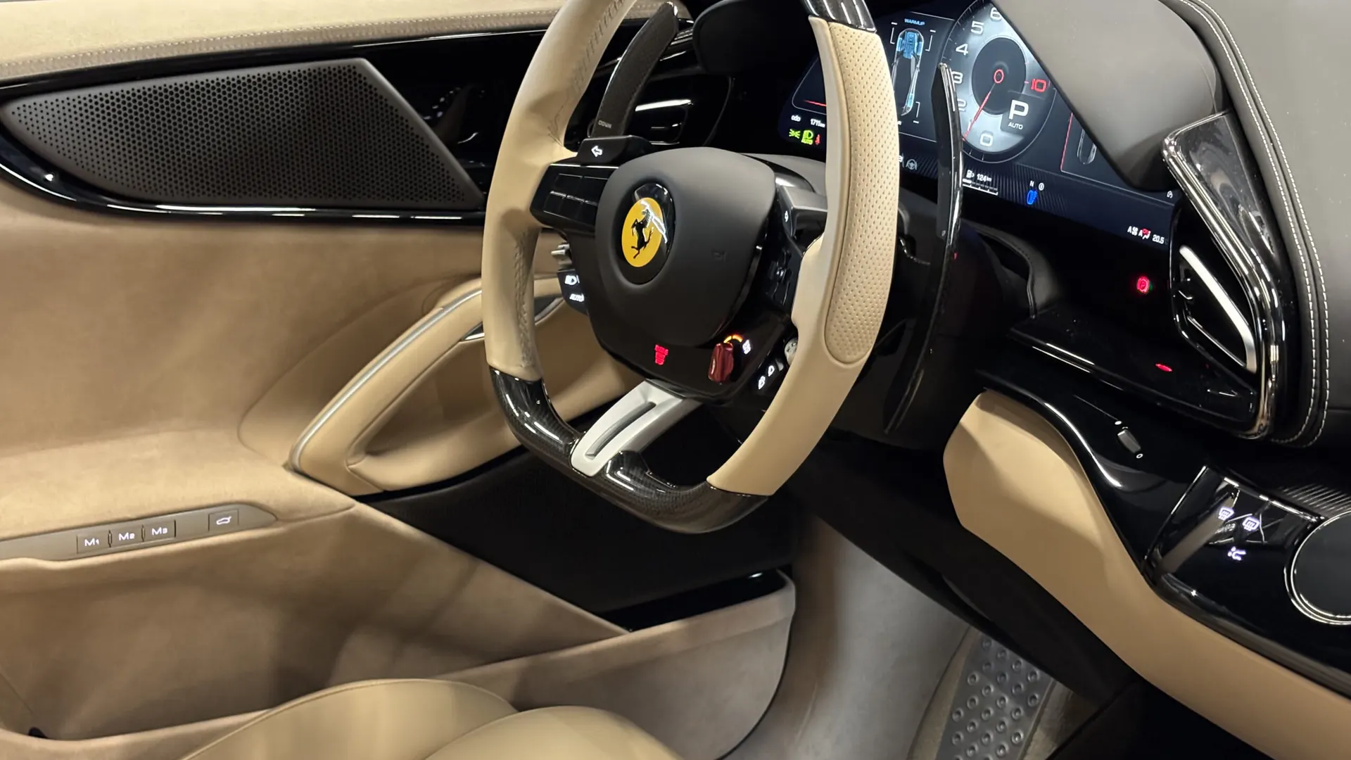 Ferrari PUROSANGUE — photo 25