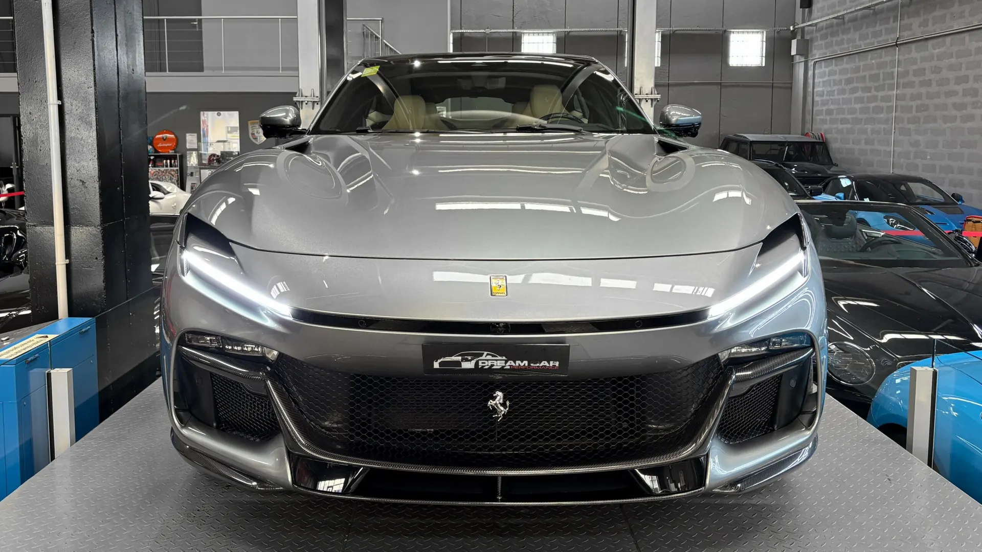 Ferrari PUROSANGUE — photo 17