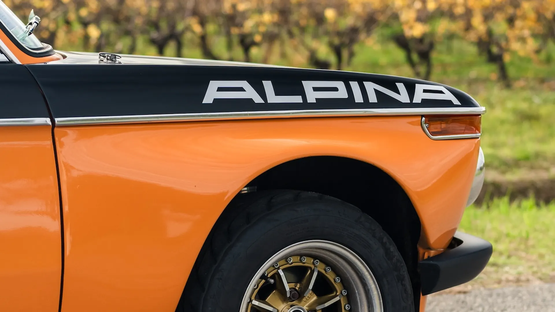 Alpina 2002 — photo 33