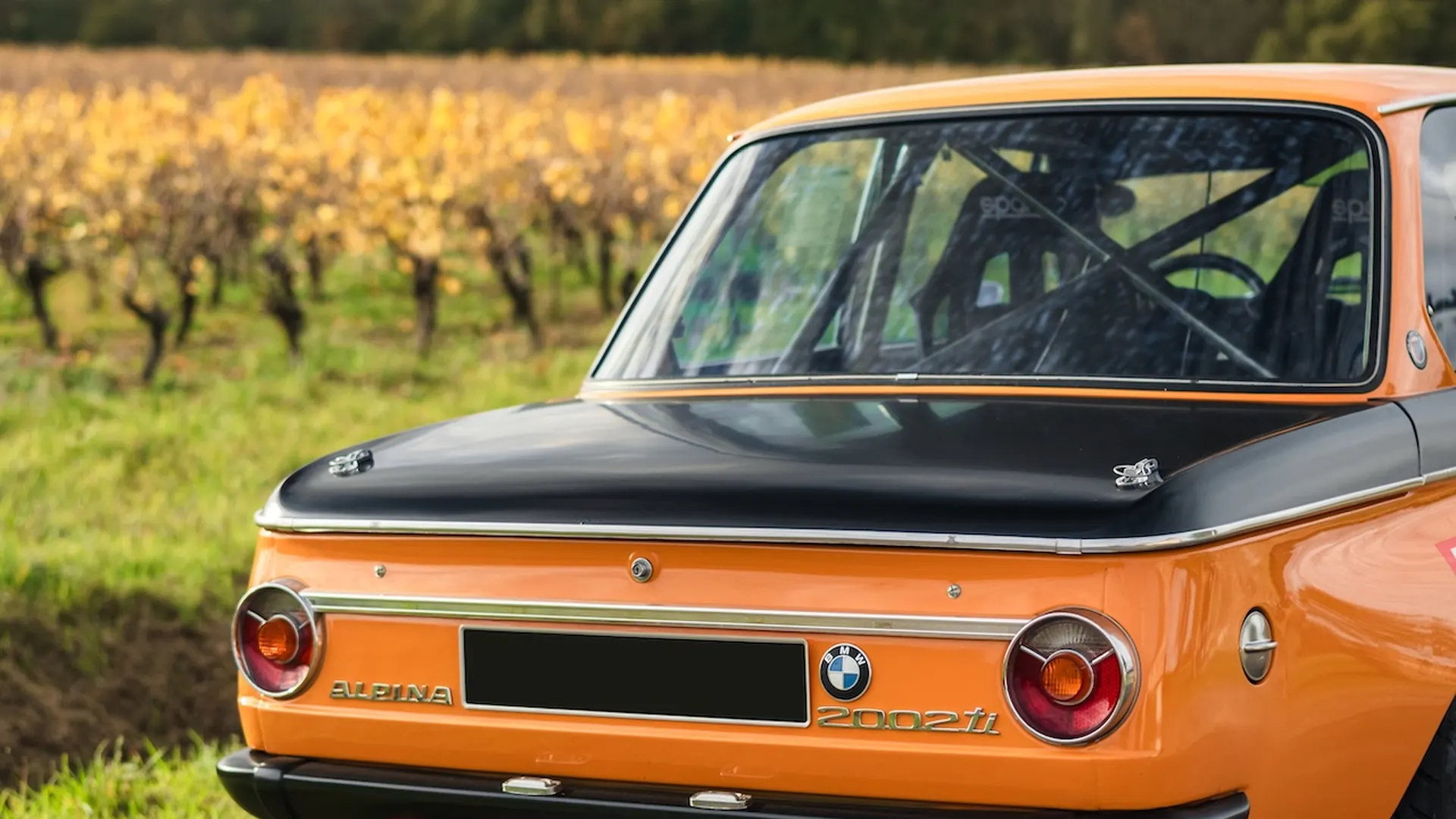 Alpina 2002 — photo 35
