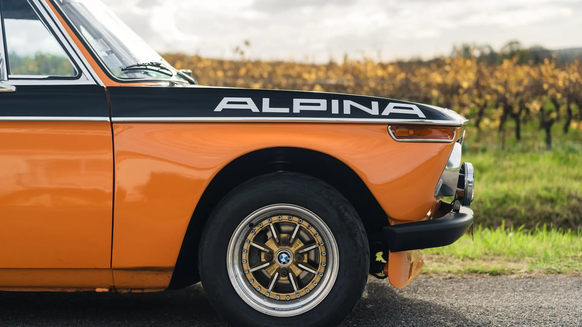 Alpina 2002 — photo 15
