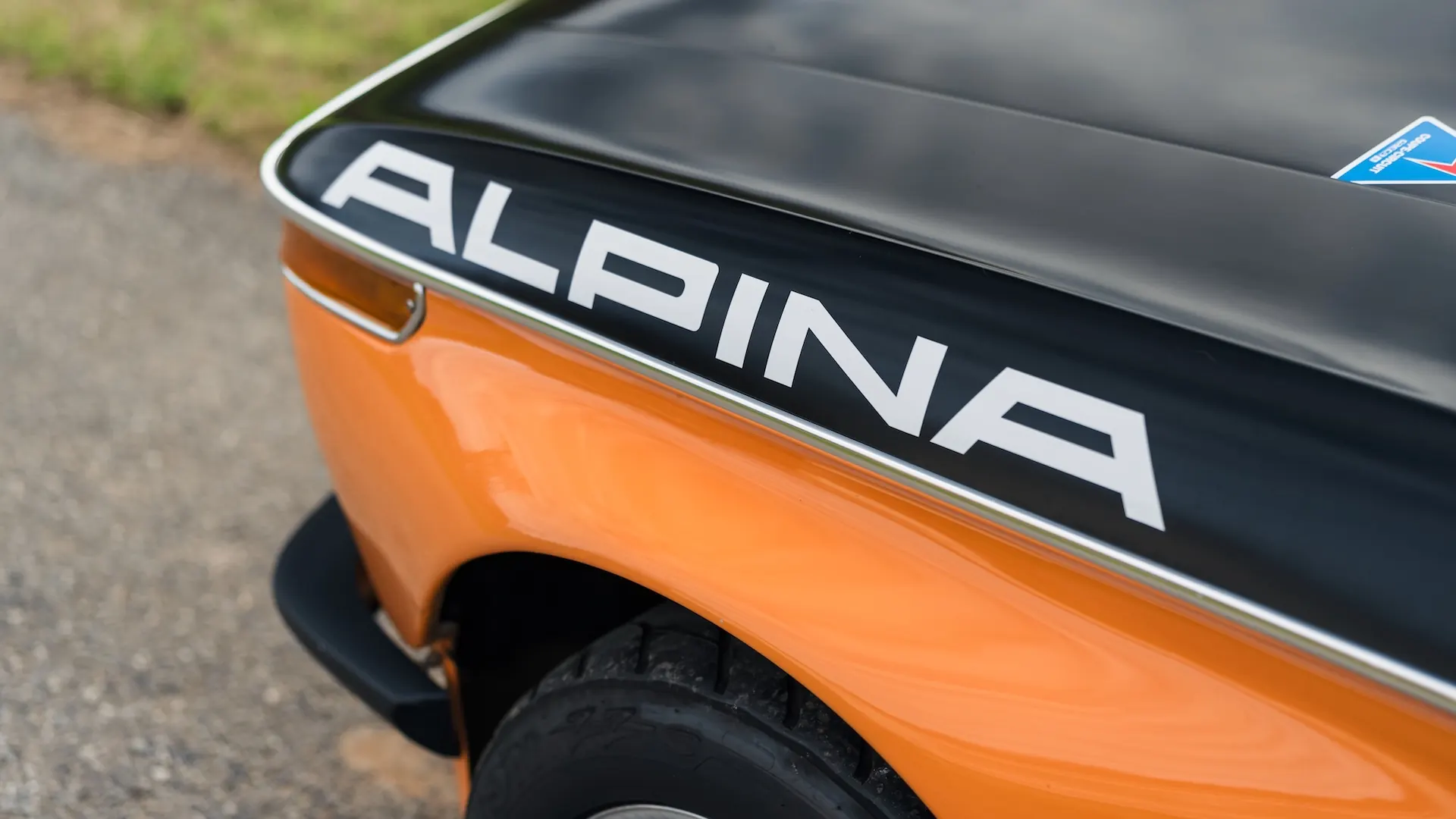 Alpina 2002 — photo 7