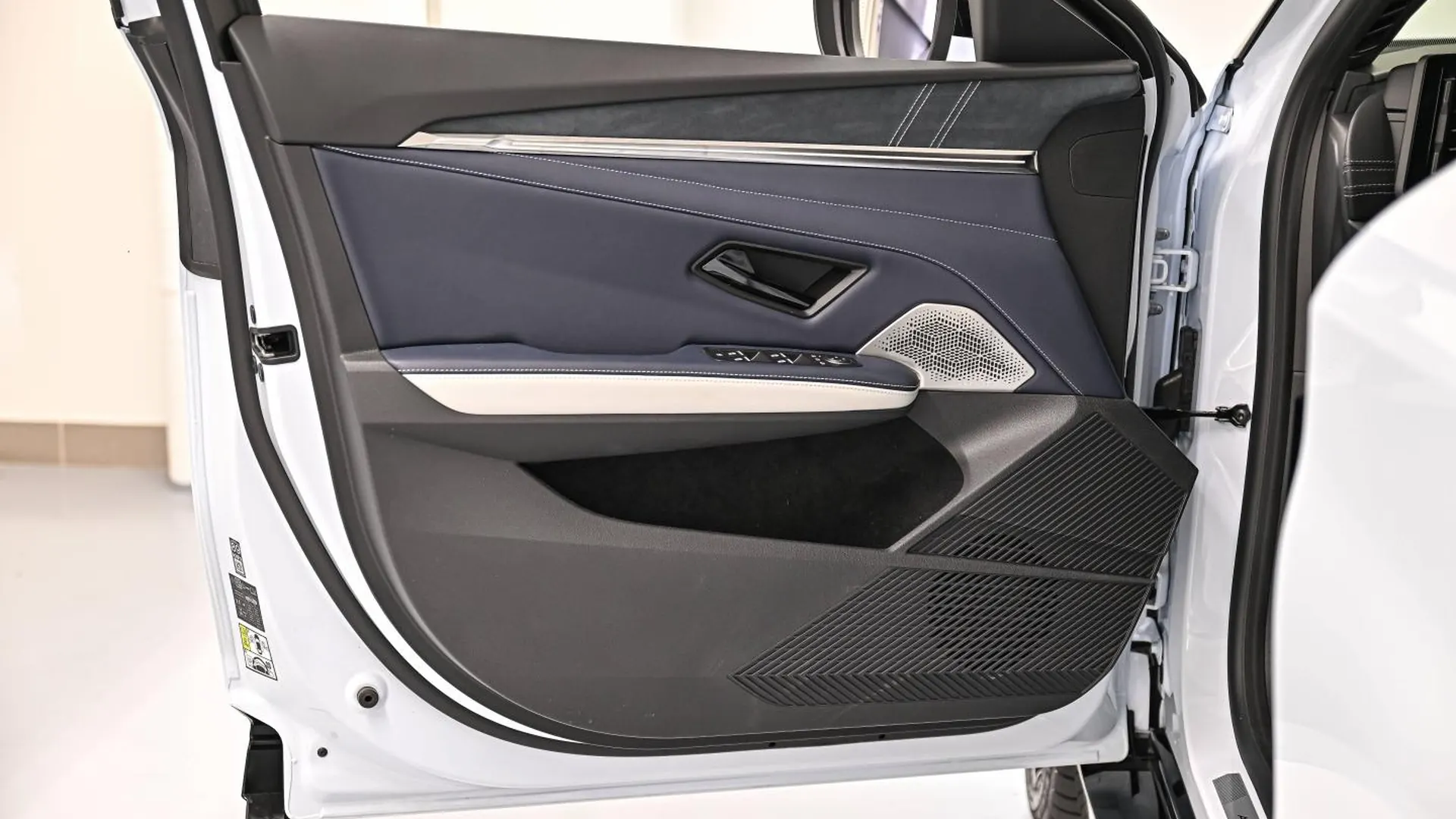 Alpine A390 — photo 21
