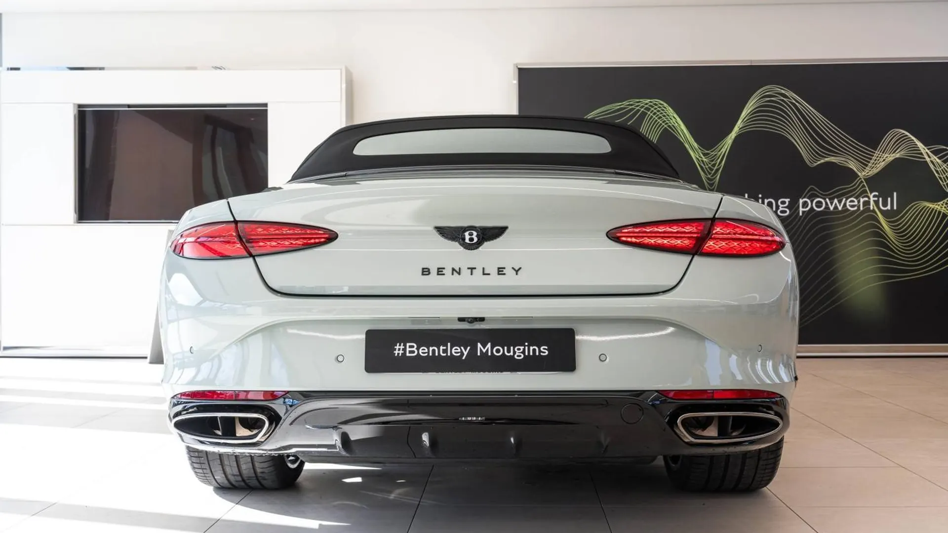 Bentley Continental — photo 7