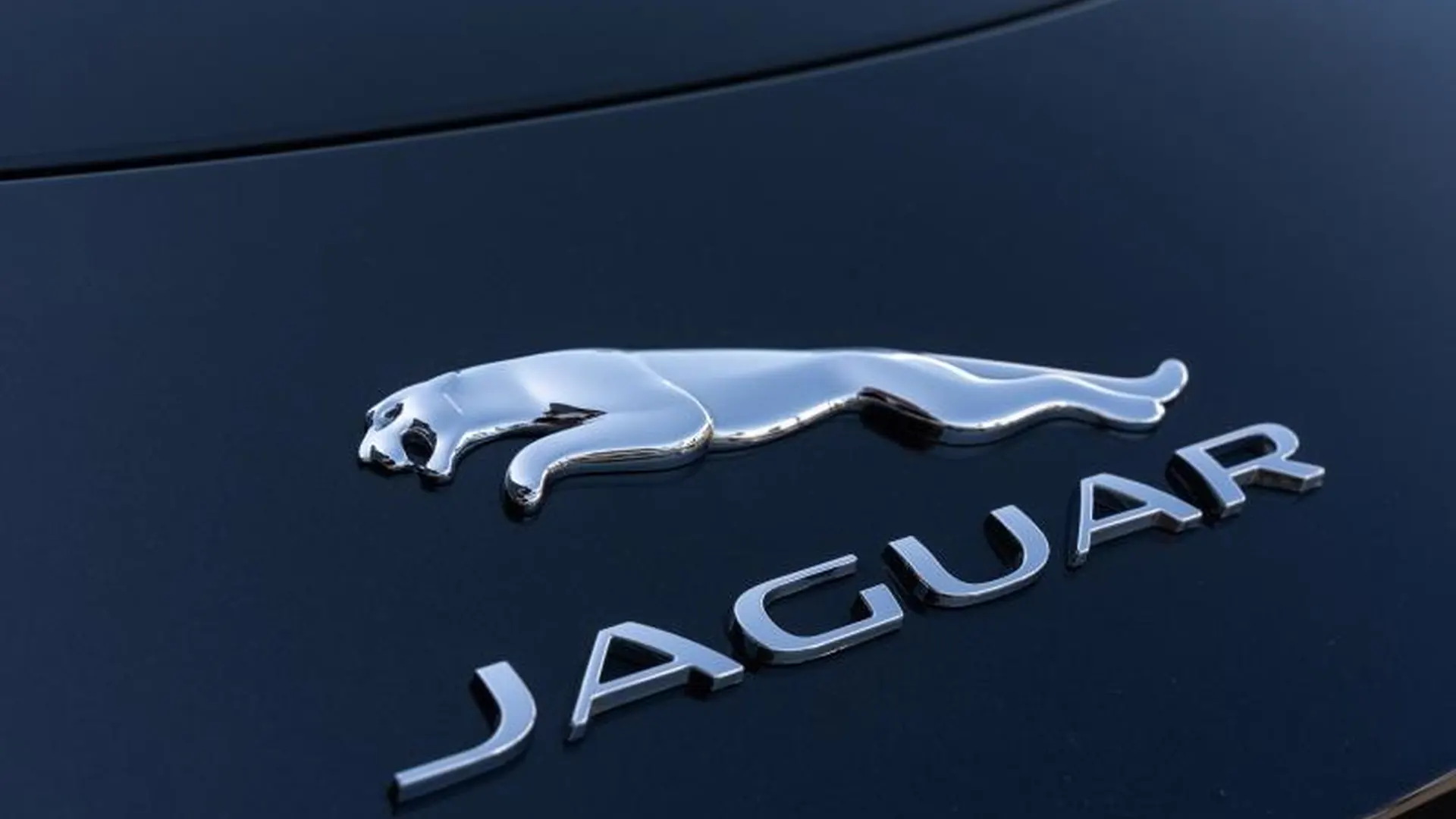 Jaguar F-Type — photo 13