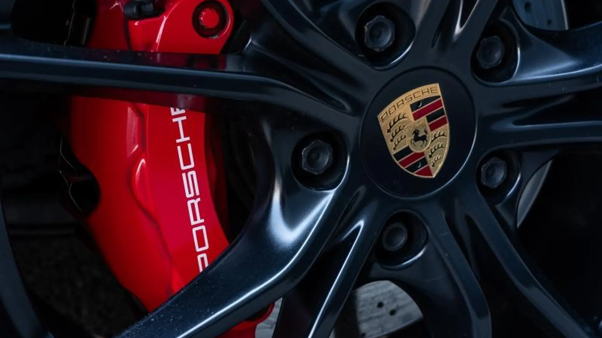 Porsche 991 — photo 33