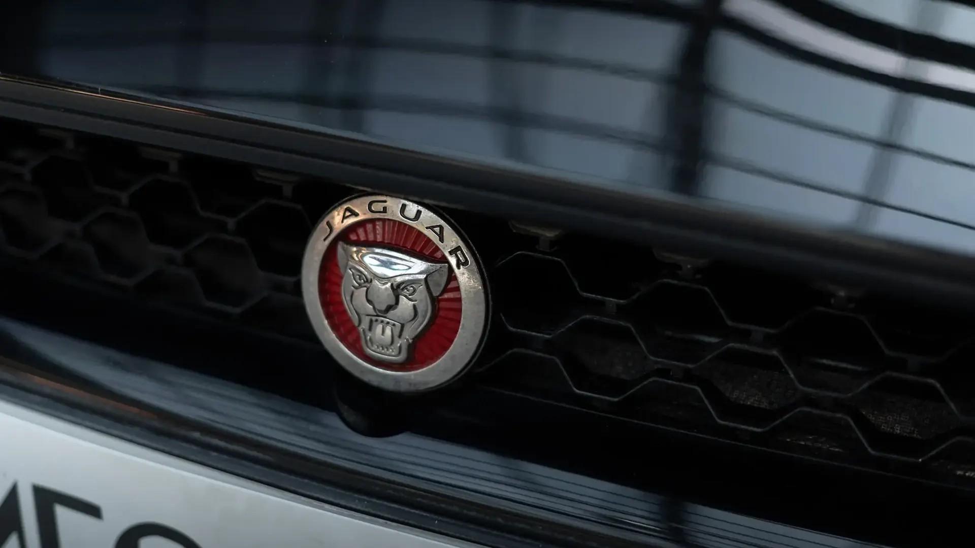Jaguar F-Type — photo 33