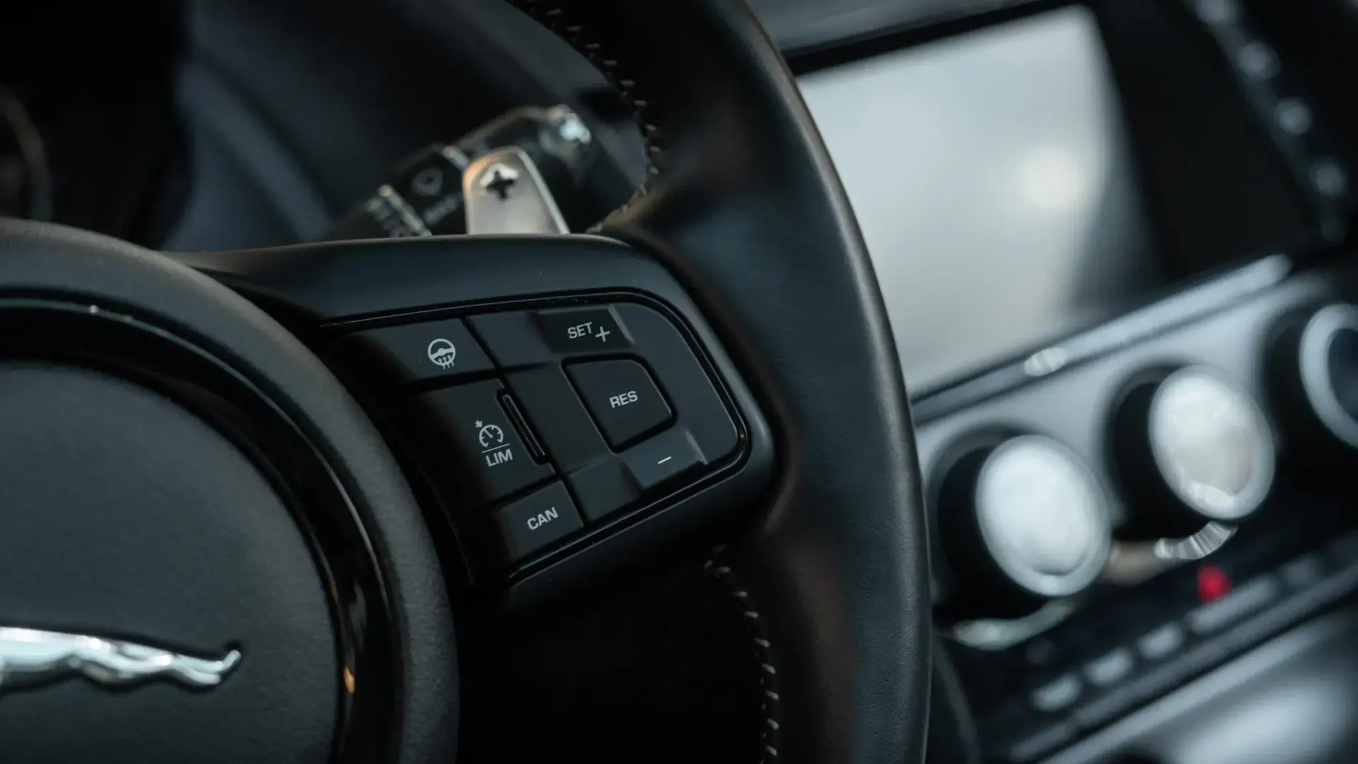 Jaguar F-Type — photo 14