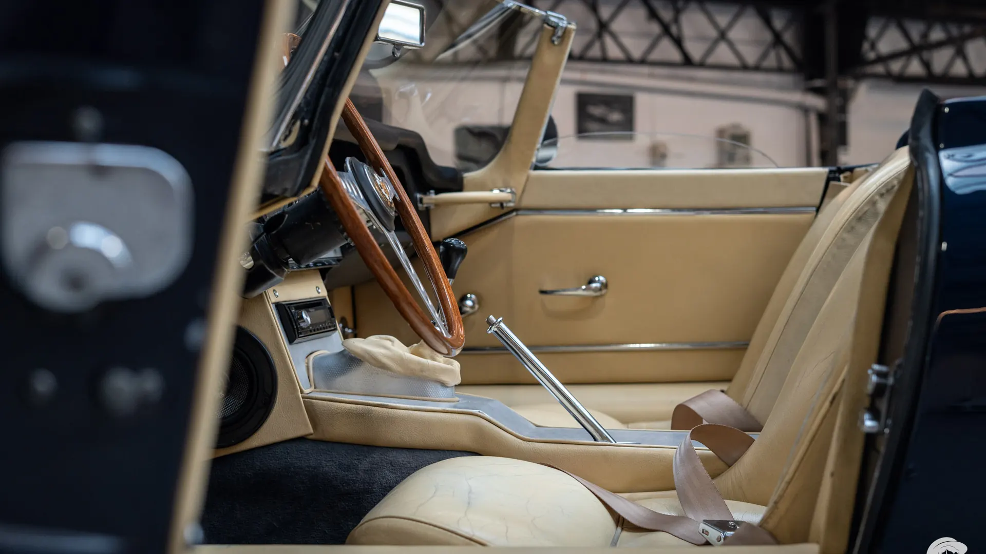 Jaguar Type — photo 12