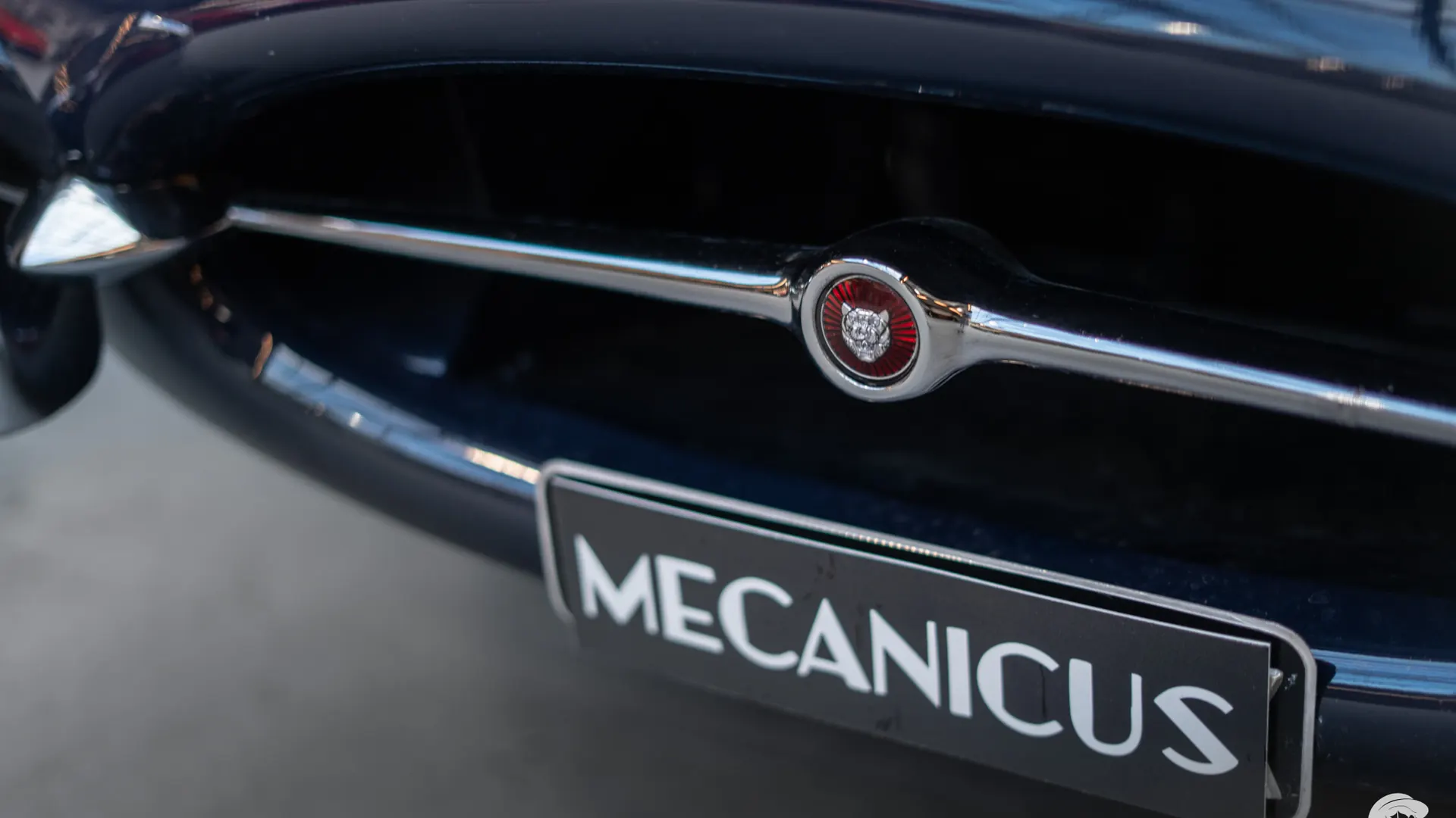 Jaguar Type — photo 33