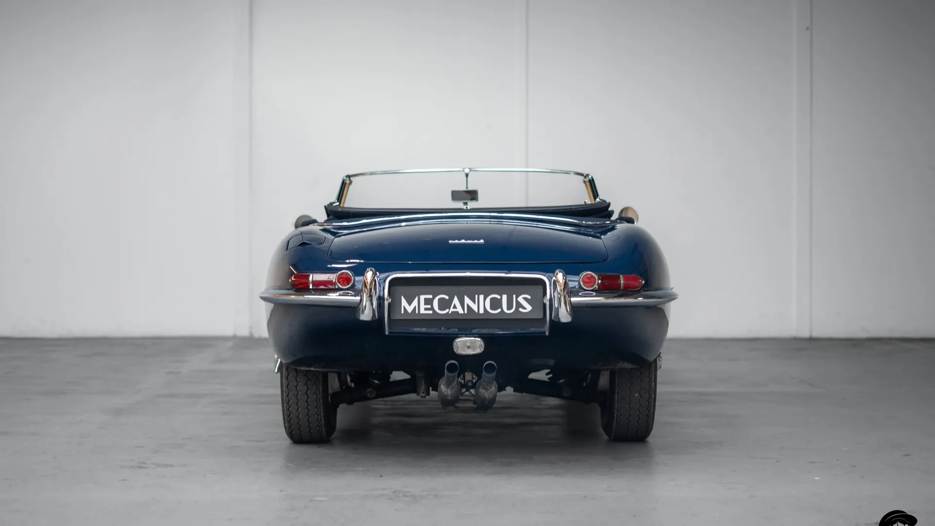 Jaguar Type — photo 4