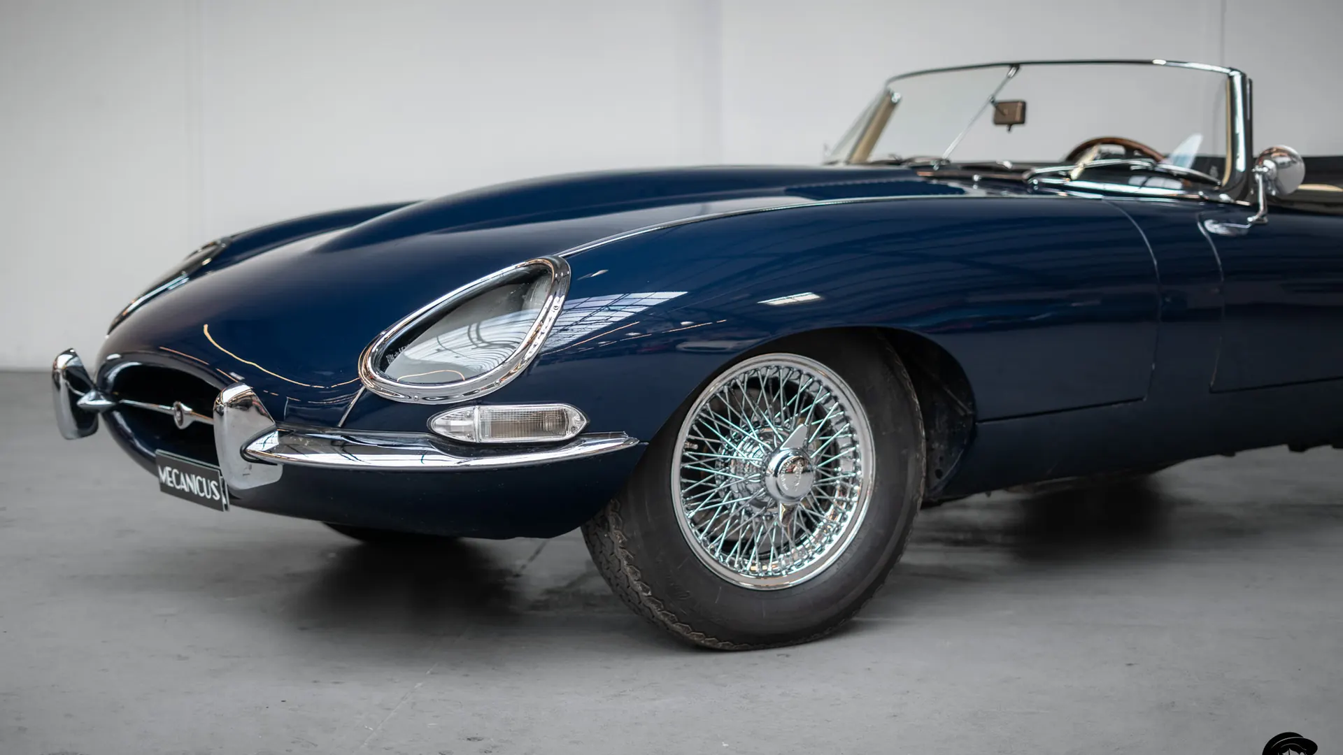 Jaguar Type — photo 37