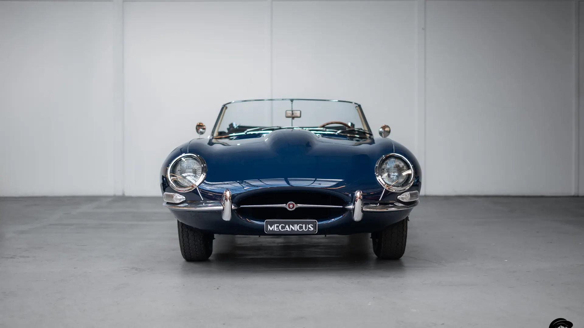 Jaguar Type — photo 3