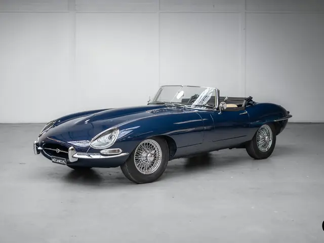 Jaguar Type