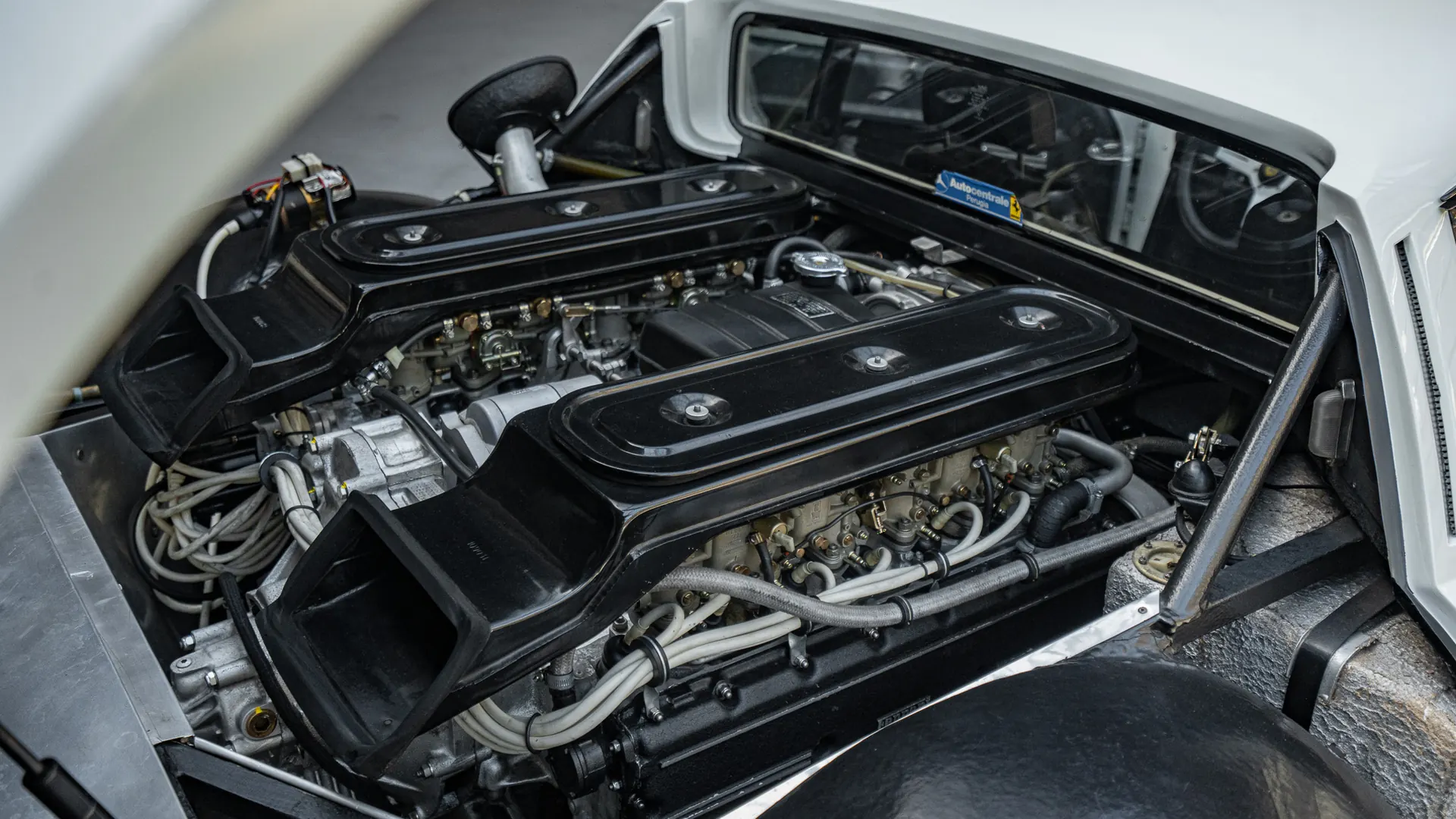 Ferrari BB512 — photo 39