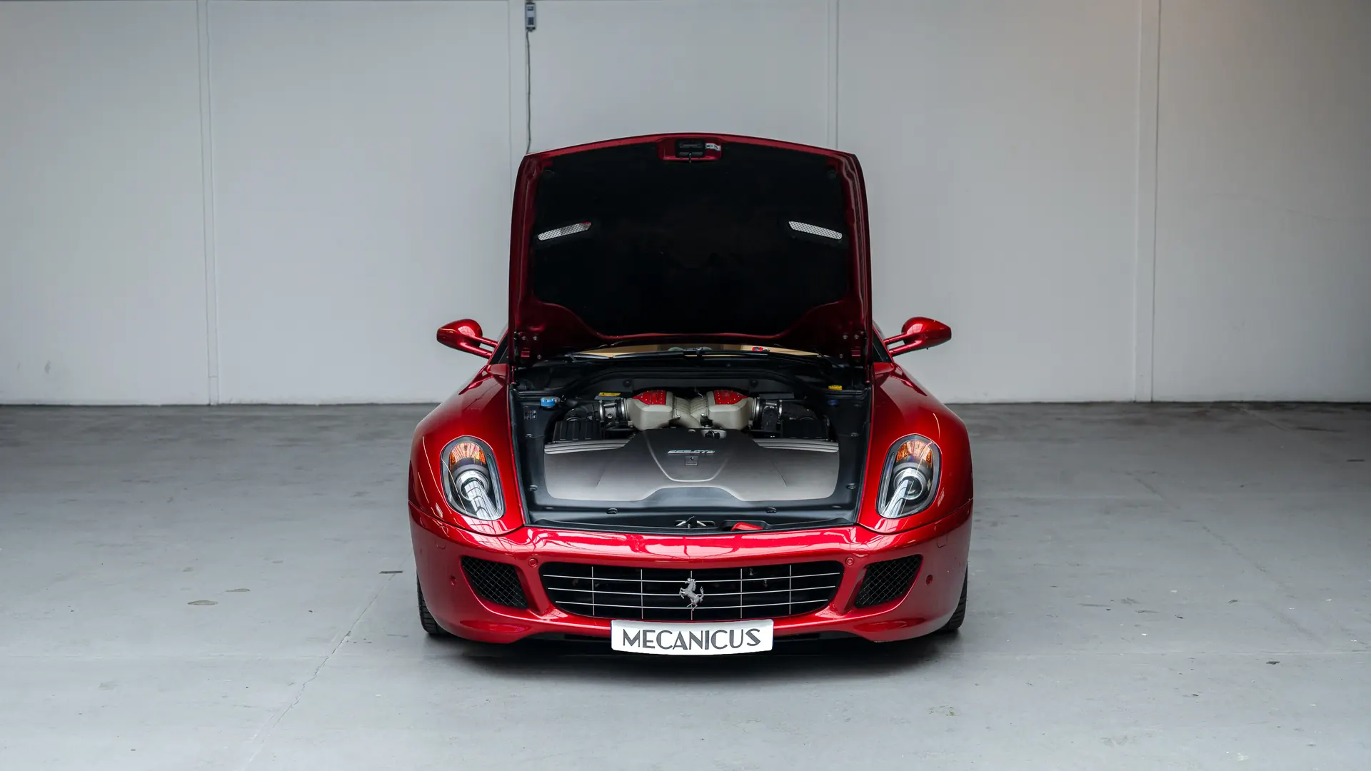 Ferrari 599 — photo 25