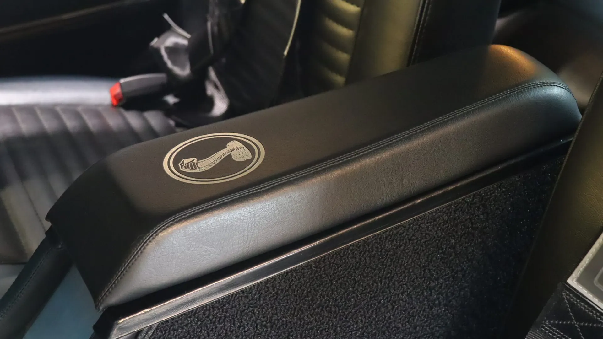 Ford Mustang — photo 26