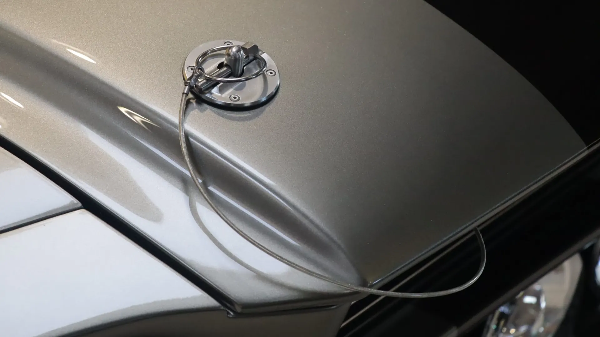 Ford Mustang — photo 37