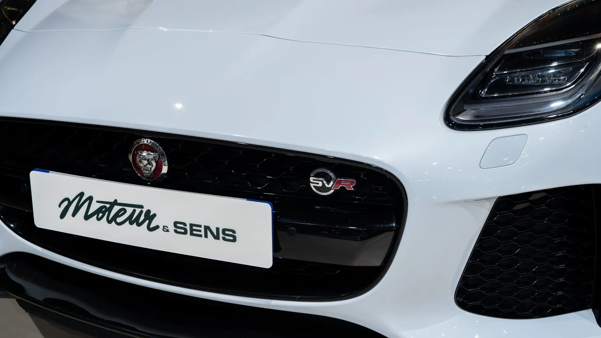 Jaguar JAGUAR — photo 38