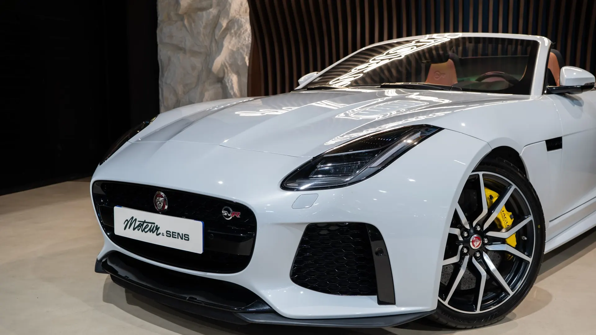 Jaguar JAGUAR — photo 36