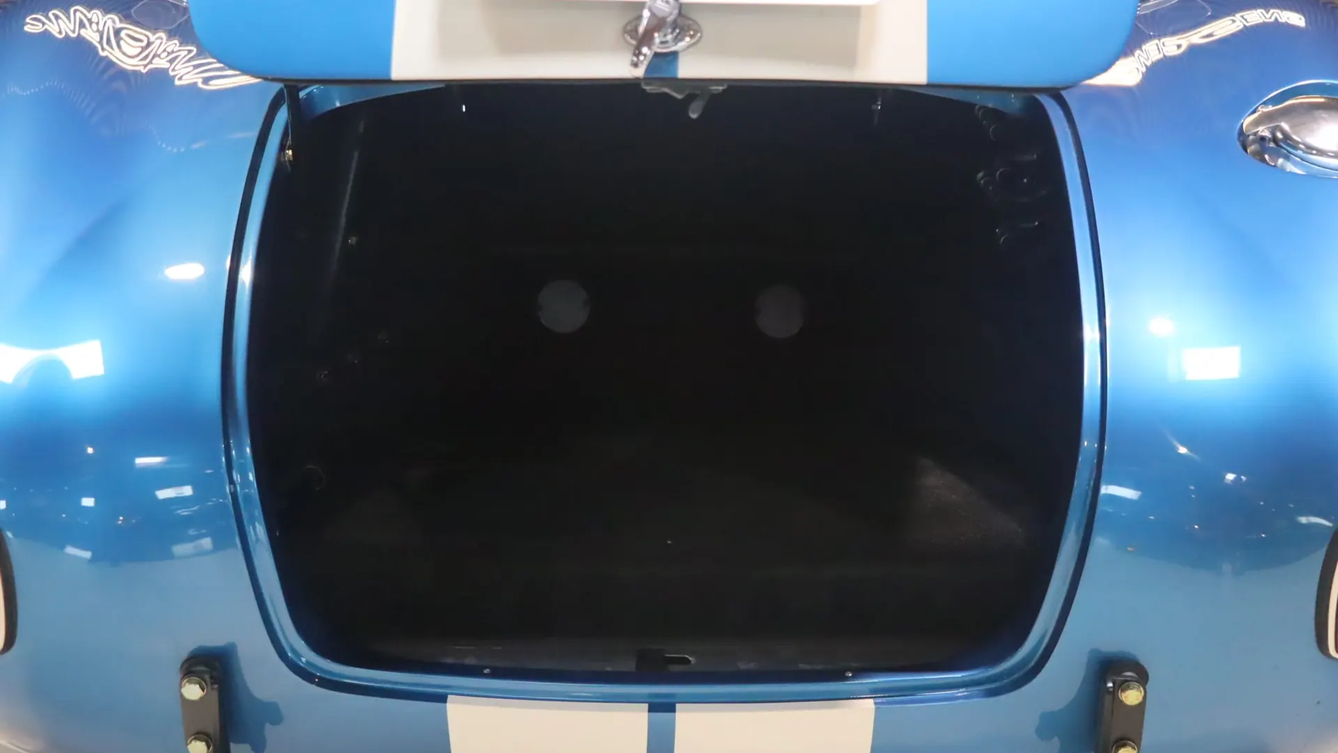 Ac COBRA — photo 43