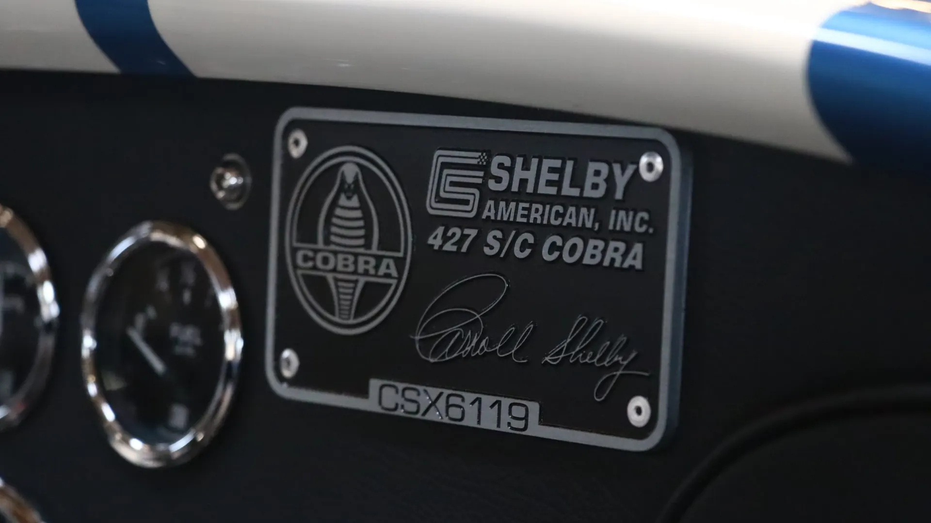 Ac COBRA — photo 19