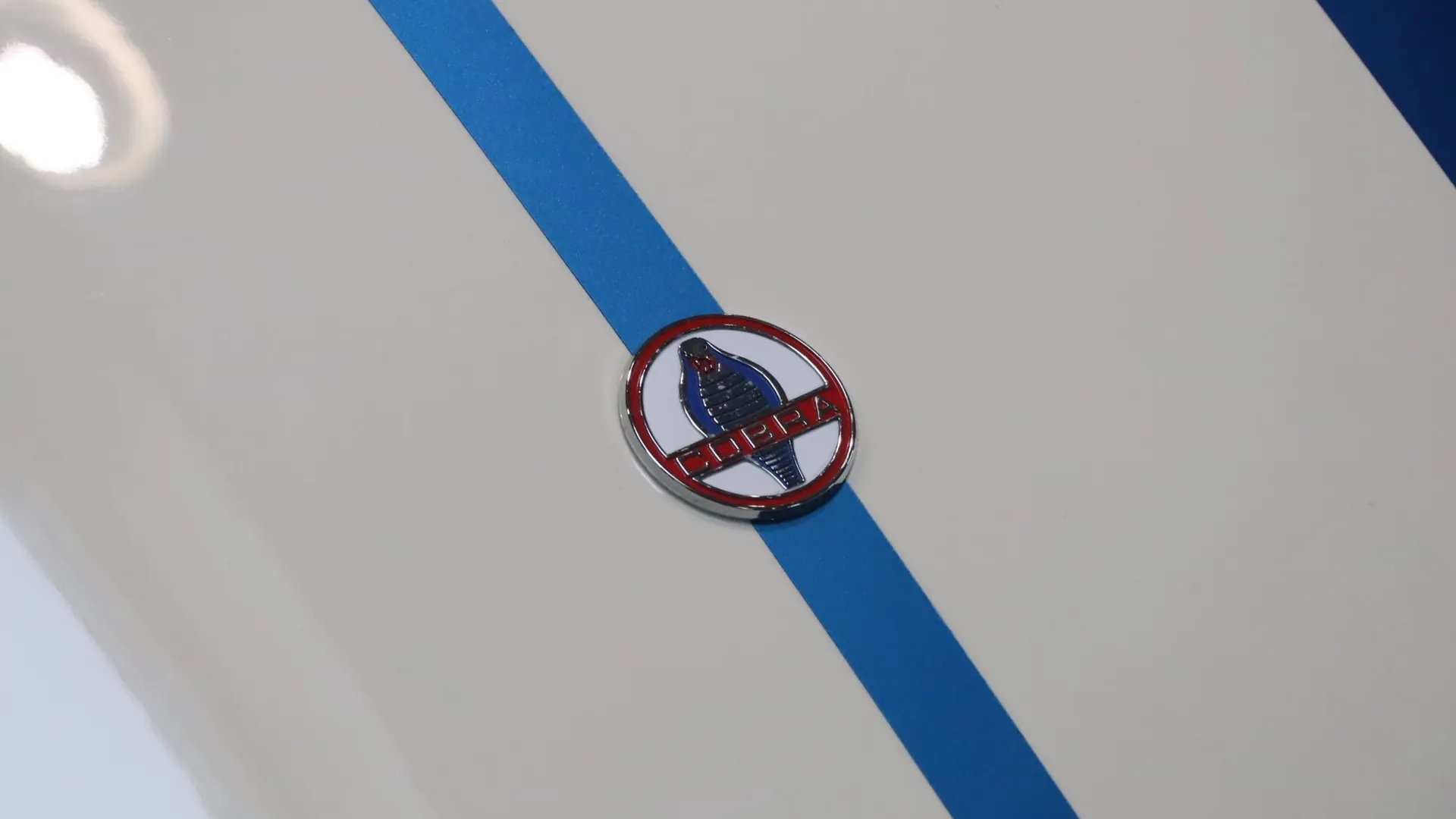 Ac COBRA — photo 27