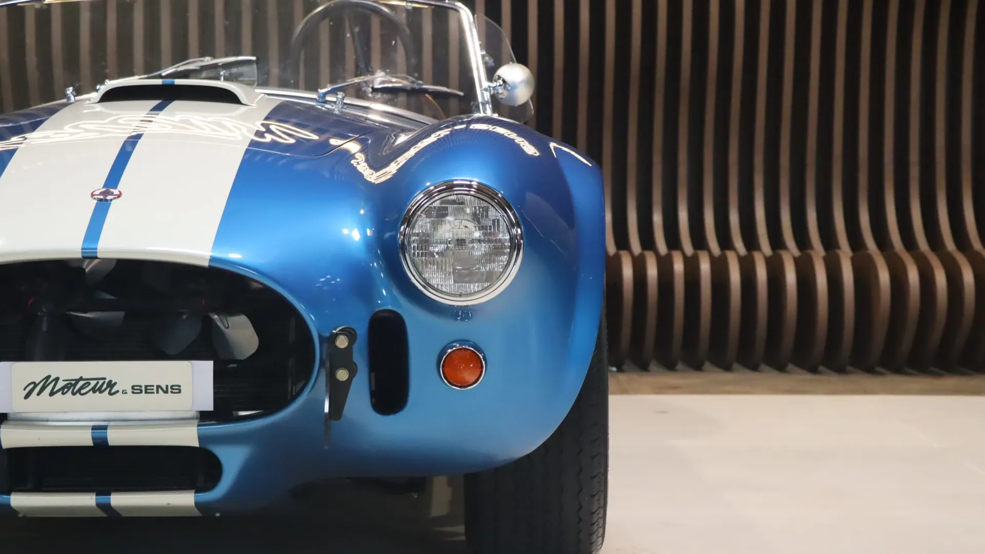 Ac COBRA — photo 23
