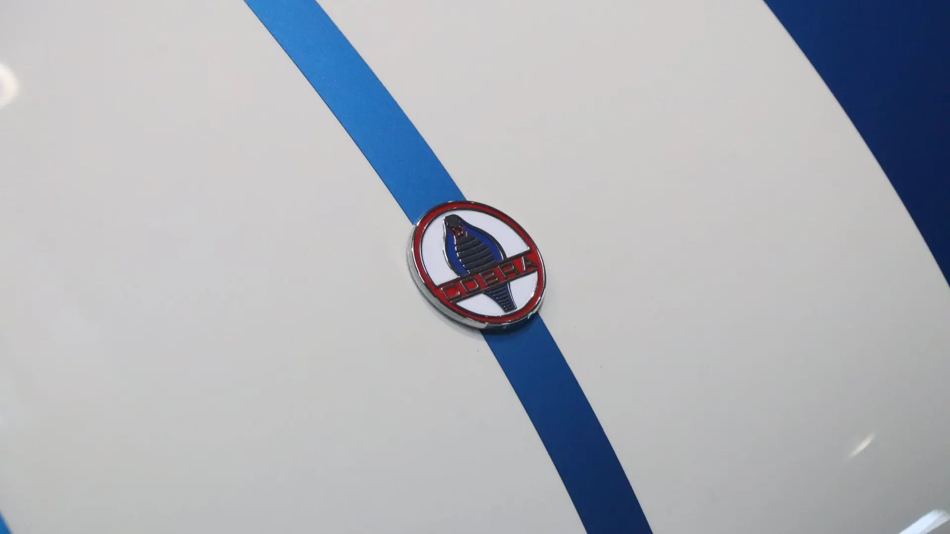 Ac COBRA — photo 42