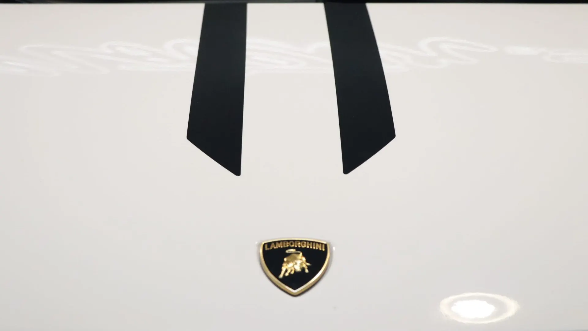 Lamborghini GALLARDO — photo 31