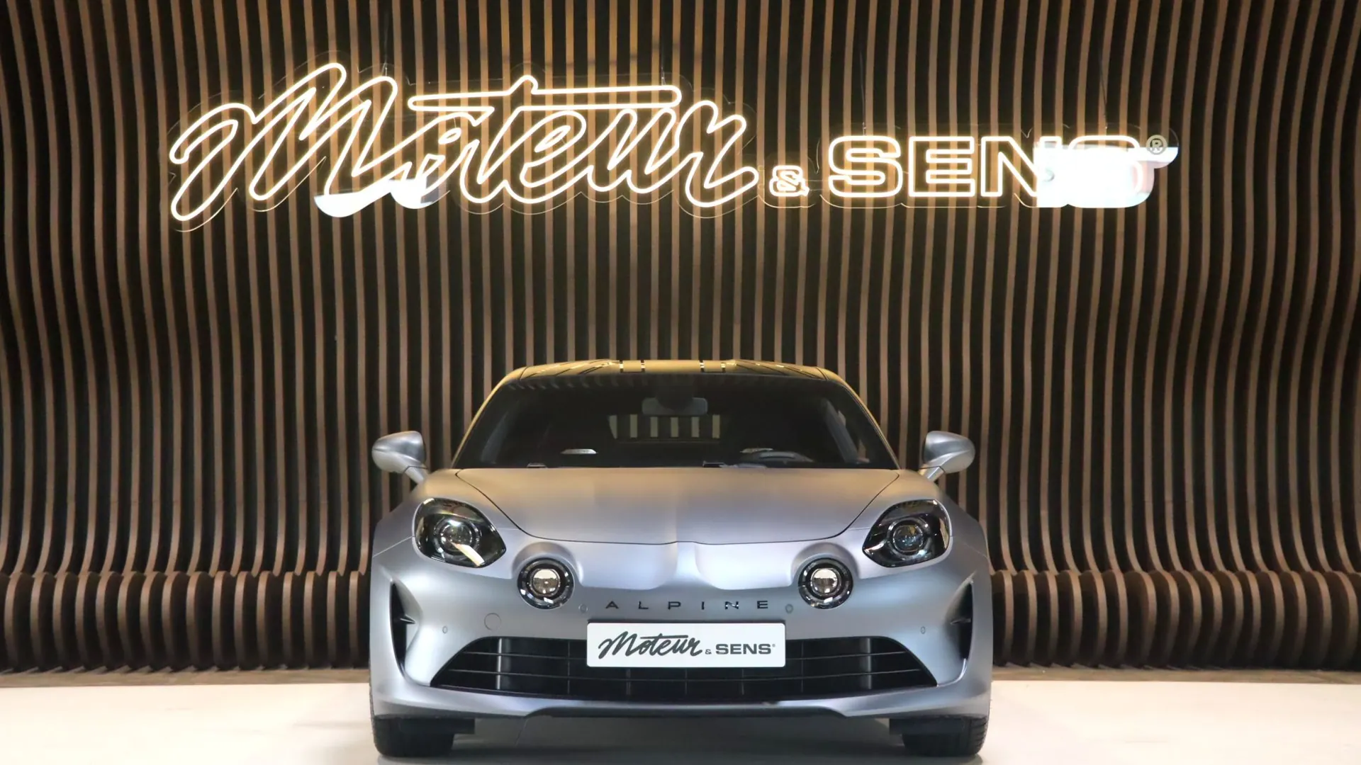 Alpine Alpine — photo 3