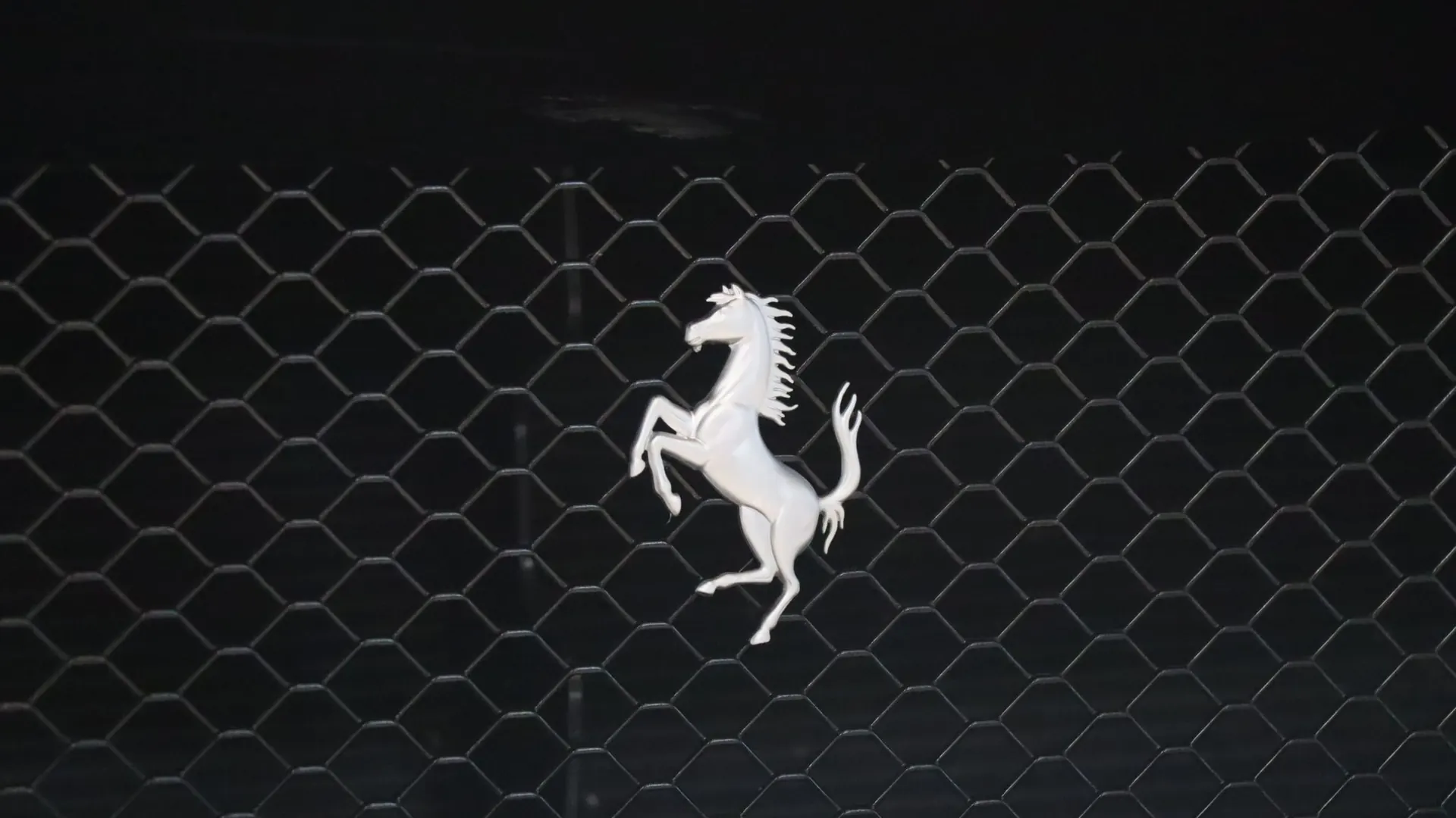 Ferrari Purosangue — photo 38