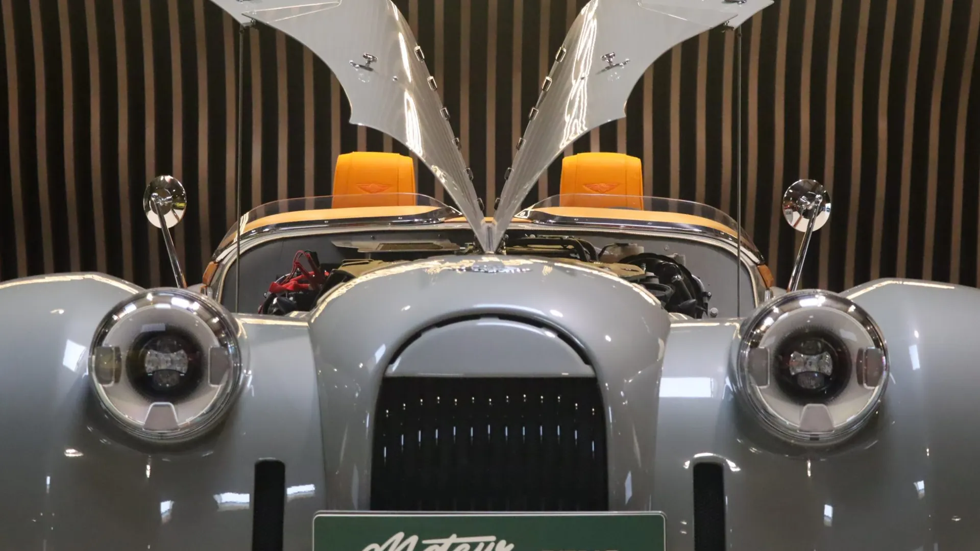 Morgan MIDSUMMER — photo 32