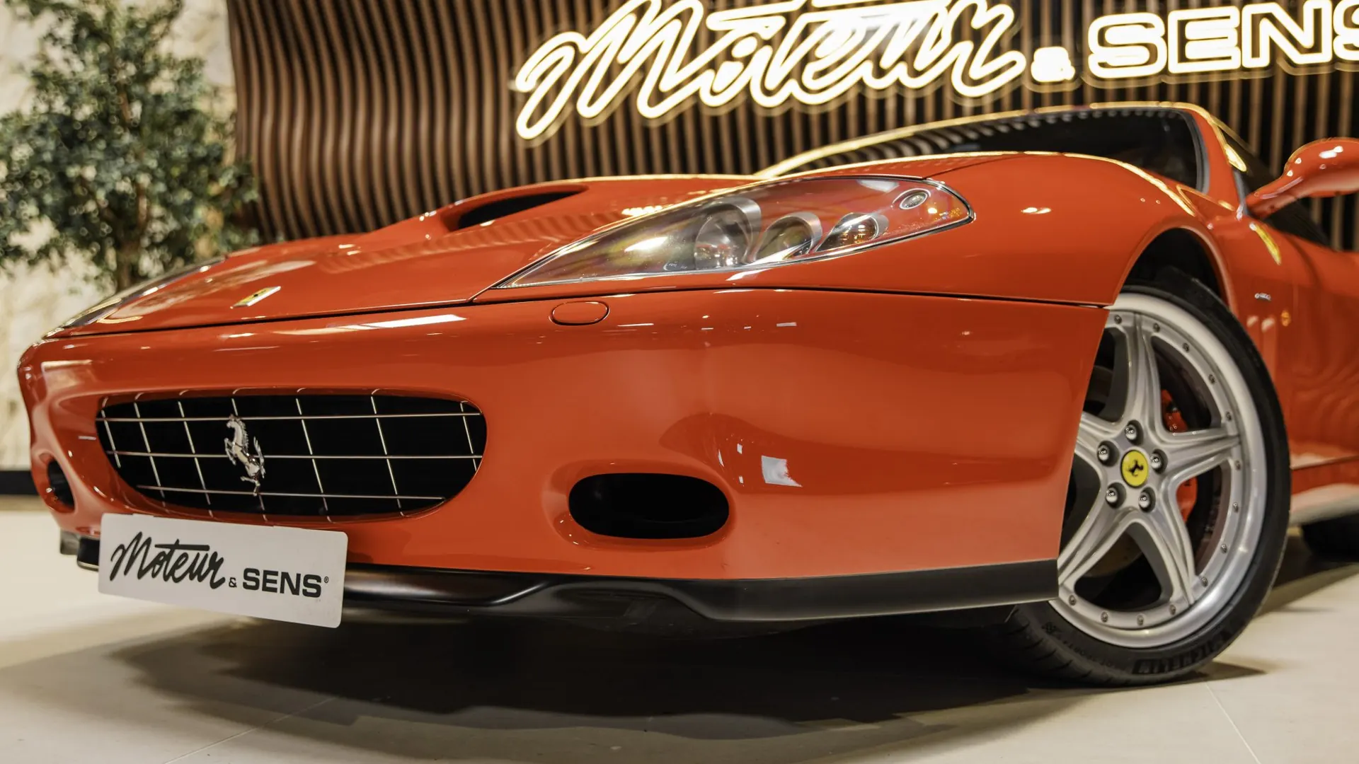 Ferrari 575M — photo 48