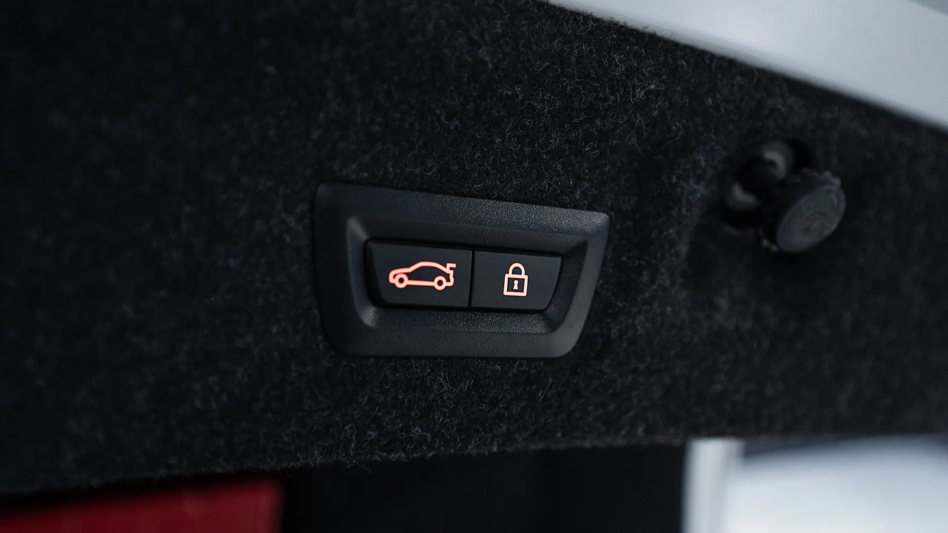 BMW (G82) — photo 14